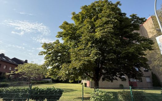 Kleine & gemütliche Zweizimmer-Wohnung in GV-Elsen
