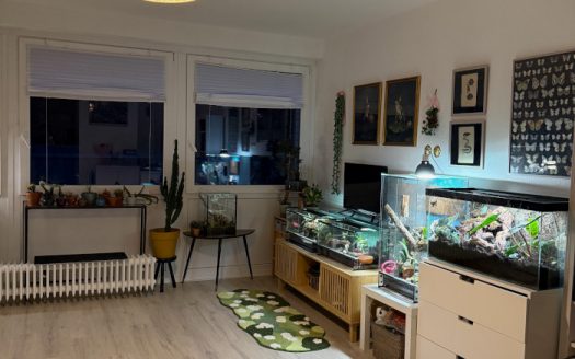 Gemütliches Apartment sucht ruhigen Mieter