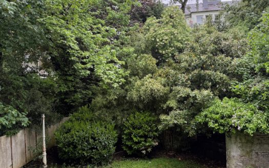 Kleines gemütliches Appartement mit Balkon