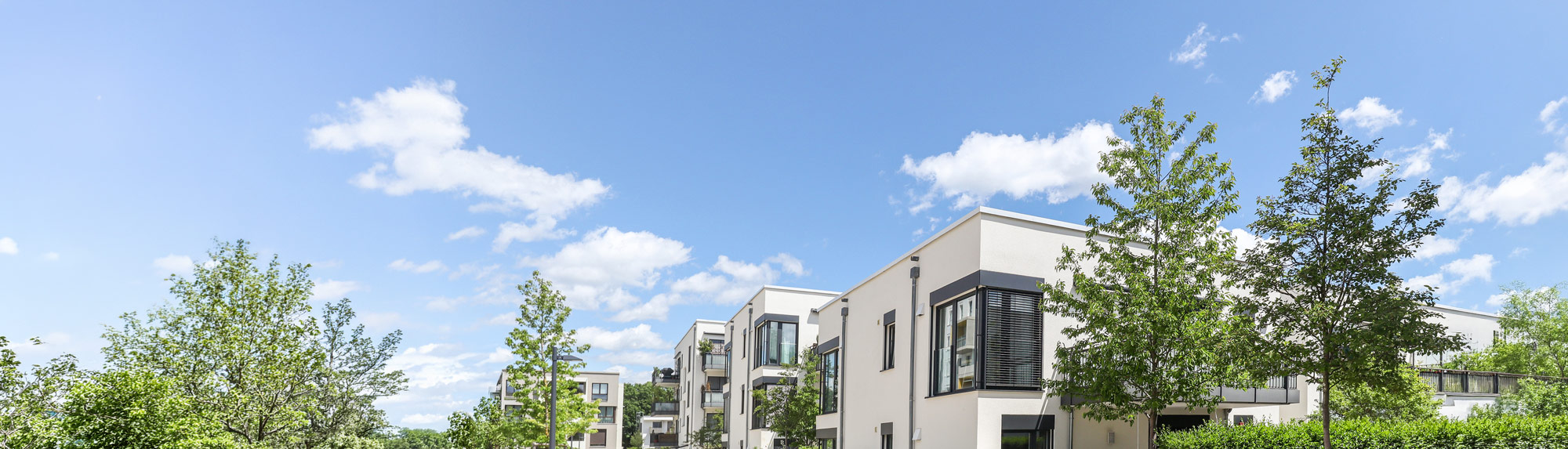 Moderne Neubausiedlung mit Baumbestand und Staffelgeschoss Eigentumswohnungen